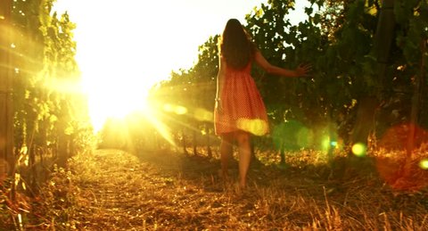 Young Woman Walking Vineyard Wine Grape Harvest Season Concept