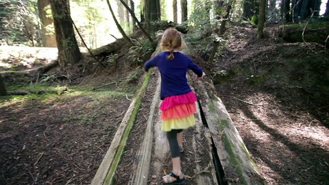 Young girl using a fallen redwood as a bridge. 