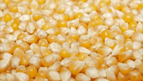 Popcorn seed  macro shallow DOF 4K 2160p UHD footage - Pop-corn seeds panning 4K 3840X2160 UHD video