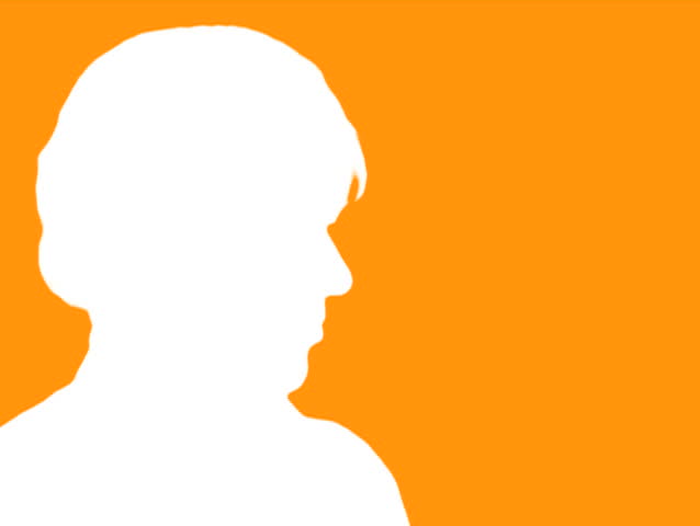 Photographer silhouette orange - NTSC