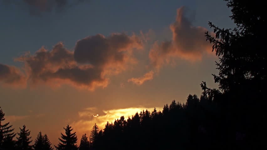 Time lapse footage. Sunset in the mountain. Detail of coniferous forest.