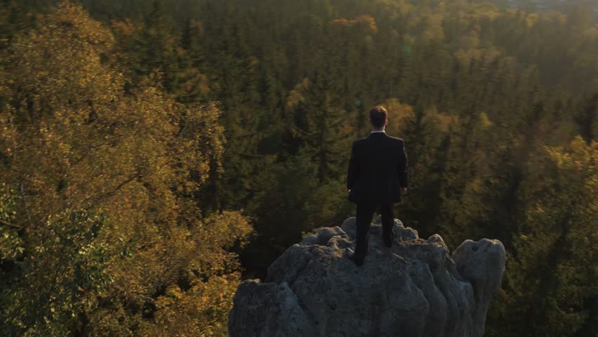 Young businessman on a rock overlooking autumn forest 