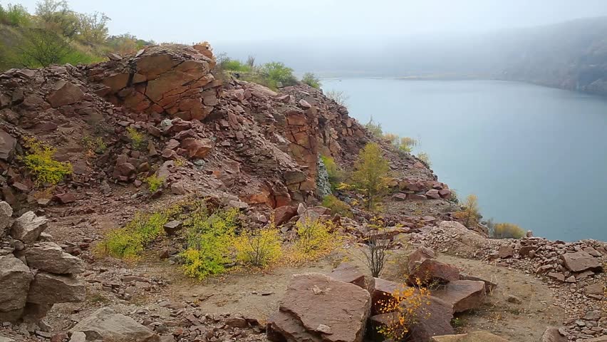 tree against granite deposits