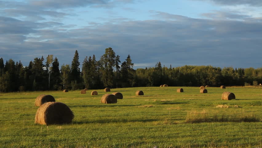 Haybales at sunset in a field in Ontario, Canada.
Bales of hay at sunset, in a field. Near the city of Dryden in the Kenora district of Northwestern Ontario, Canada.
