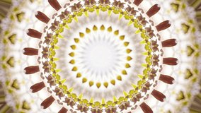 Magic circle kaleidoscopic pattern in spring colors. Great ornamental animated background for your design. Seamless loopable. HD video clip.