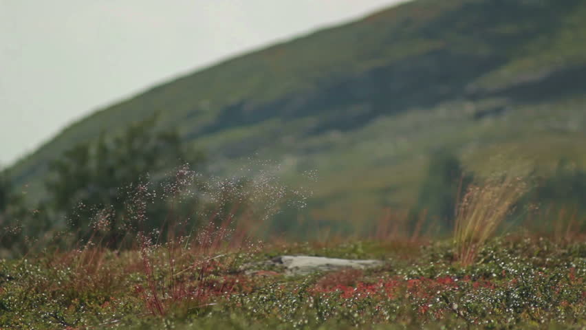 Swedish mountains. General plans of the mountains, stone ledges, trails and high mountain lakes with crystal clear water stock.