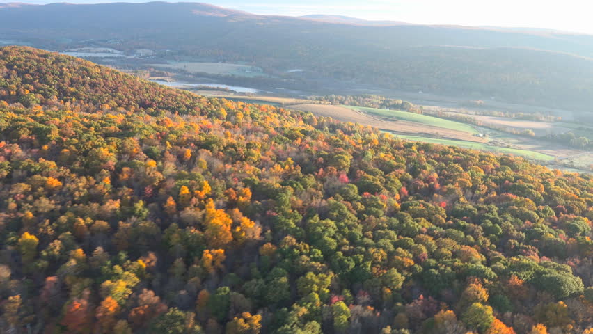 Flight along colorful hills. 4K, UHD sweeping fall aerial view New England. Near Berkshires, fall tree colors and fields sparkle in early morning light.