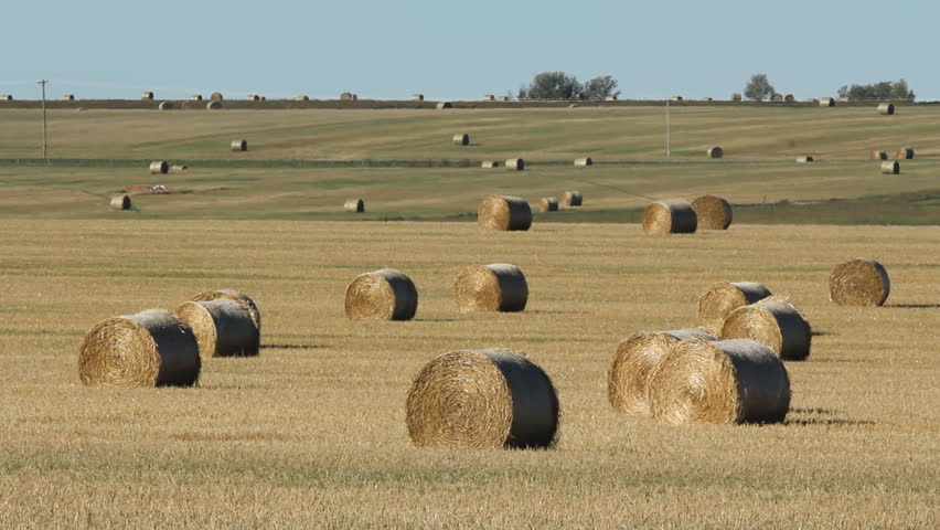 Hay Bales In A Field Stock Footage Video 100 Royalty Free Shutterstock