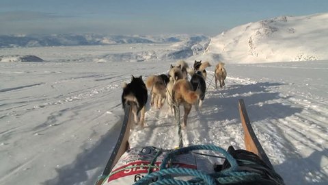 POV dog sledding near the village of Tasiilaq East Greenland