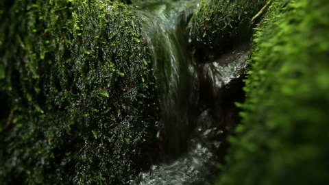 Stream running over stones covered with moss in a forest