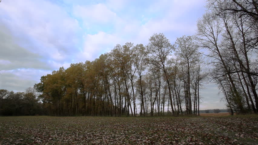 Landscape with trees and  sky in autumn. Time lapse 