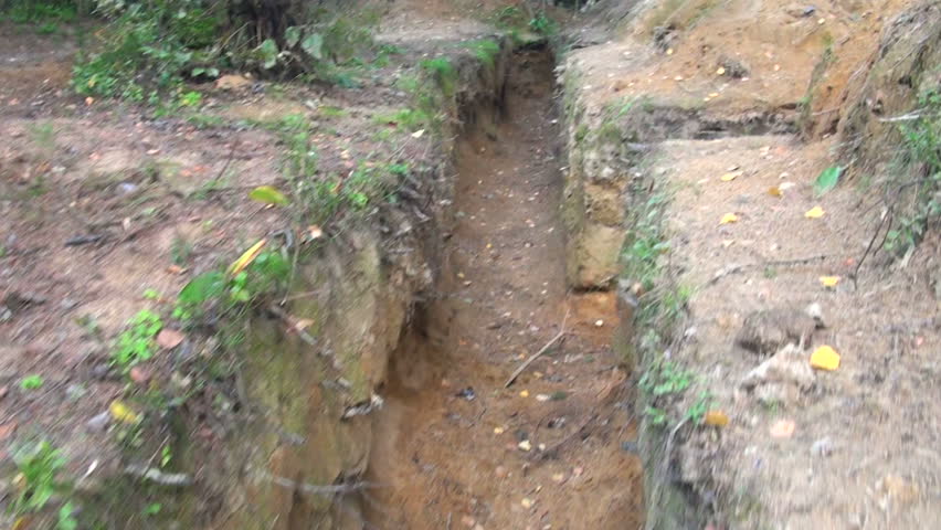 Military forces, trench in the forest