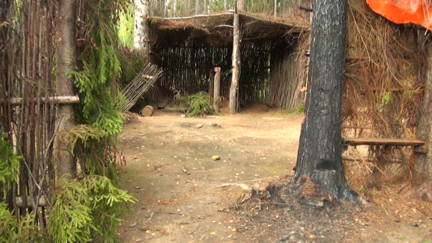 Military camp in the woods