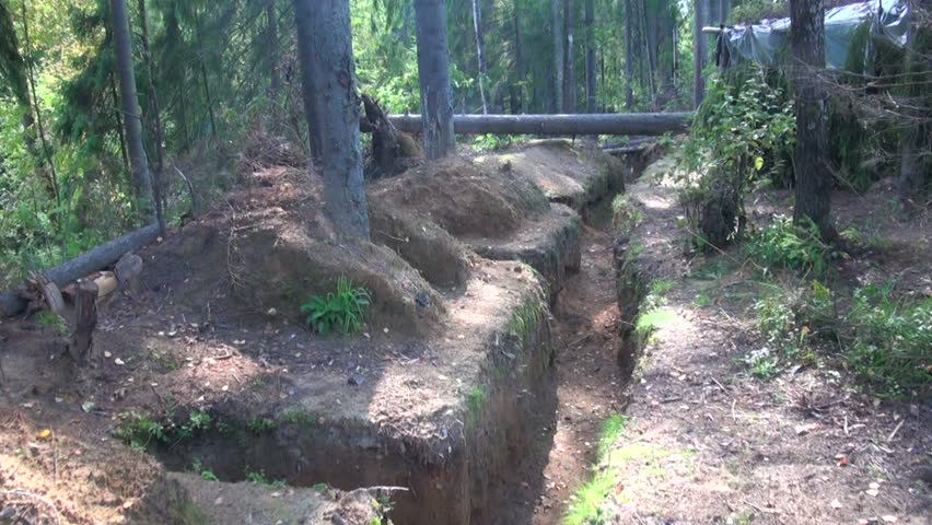 Military forces, trench in the forest