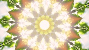 Beautiful kaleidoscopic circle pattern of green foliage. Great ornamental animated background of natural materials for your design. Colorful fractal animation. Seamless loopable. HD video clip. 