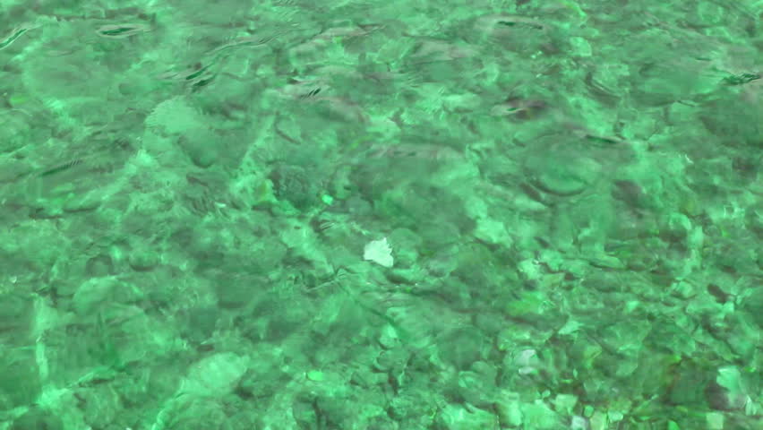 emerald water background in shallow