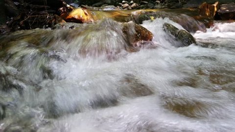 Natural water stream at deep of tropical forest with 4K resolution