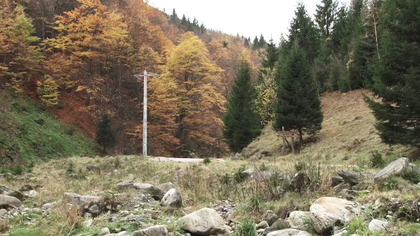 Came autumn forest. On one hand hardwood yellowed leaves on the other side of evergreen trees. The grass is dry, there is seen among boulders. The wind blows, the leaves of trees colored flies