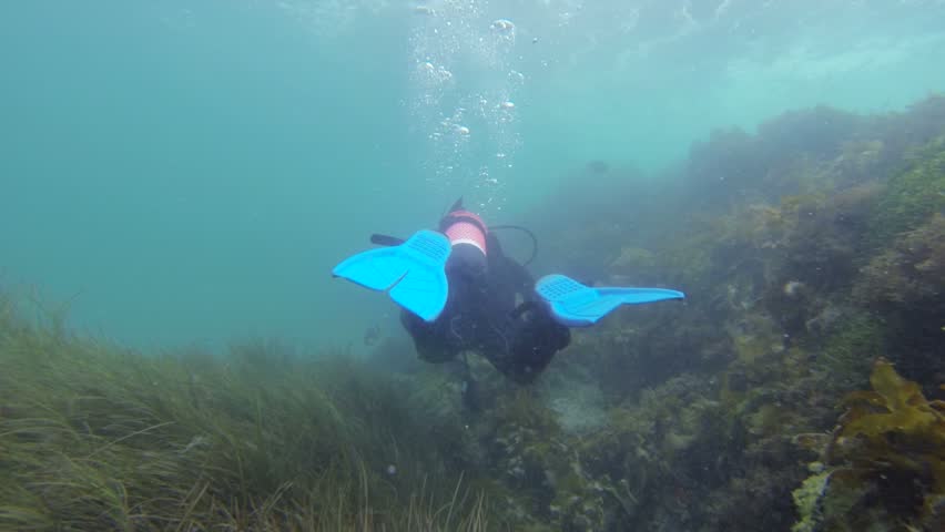 Following a Diver HD
