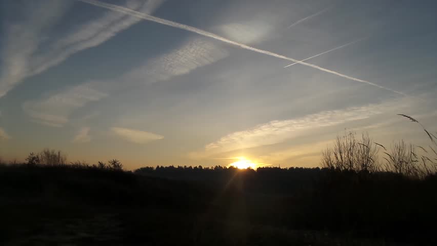 sunrise over the forest