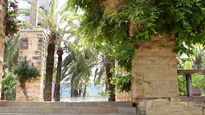 Woman walking in the park and talking on cellphone