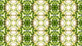 Beautiful kaleidoscopic pattern of green foliage. Great ornamental animated summer background of natural materials for your design. Colorful fractal animation. Seamless loopable. HD video clip.
