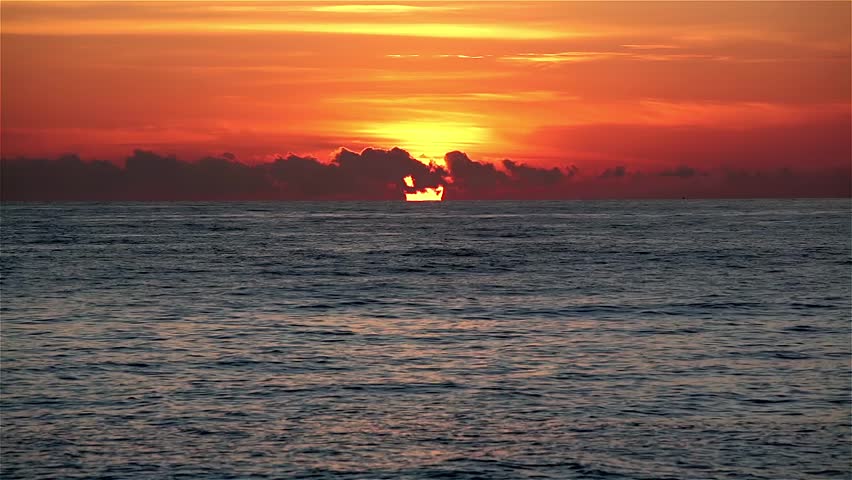 Tropical colorful sunset