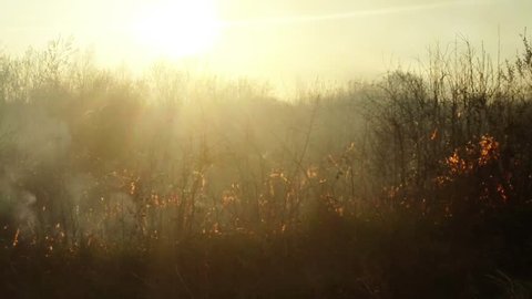 the sun shines through the smoke and fire, burning dry grass and bushes in early spring or late fall
