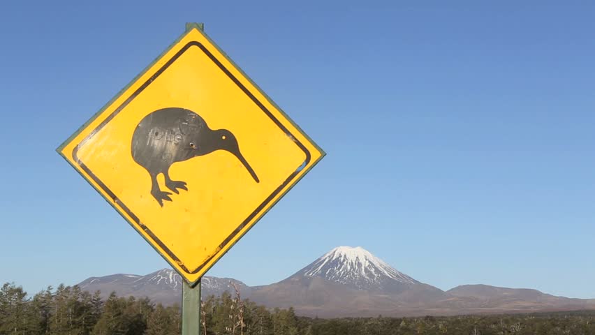 Kiwi road sign and Mount Ngauruhoe on the Volcanic Plateau, New Zealand