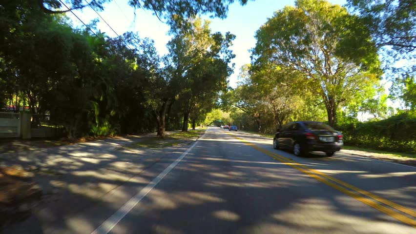 Driving through a residential neighborhood with trees over the road