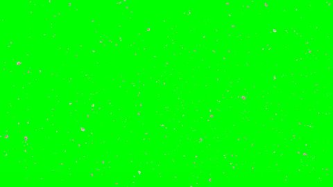 Flower Petals Falls Green Screen Stock Footage Video (100% Royalty-free ...