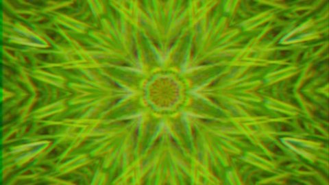 Green Organic Kaleidoscopic Video Background Loop