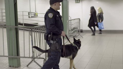 NEW YORK - OCT 28, 2014: police officer and German Shepherd attack dog being nice to child in subway in NYC. The NYC subway is a transit system owned by NY and leased to the NYC Transit Authority.