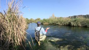 Back view of fly fisherman in river 