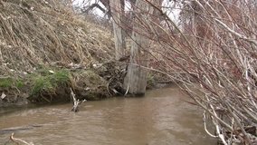 Muddy Overflowing Barren Creek/ A barren landscape of a creek flowing in early spring carrying a muddy sand.