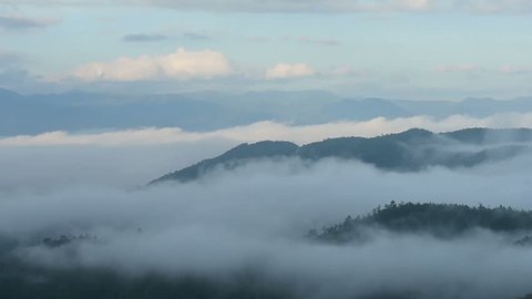 Morning fog in dense tropical rainforest, Misty mountain forest fog