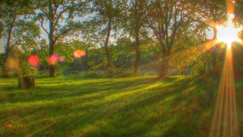Sunset beams through trees, HD time lapse clip, high dynamic range imaging (HDR)