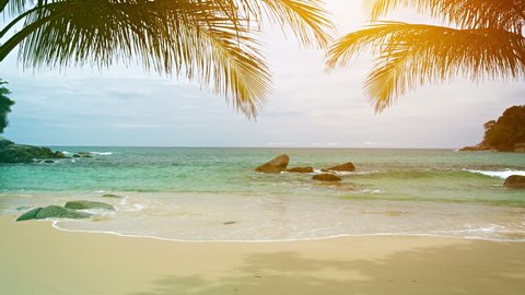 Video 3840x2160 UHD - A sunny tropical beach with palm leaves on the sky background