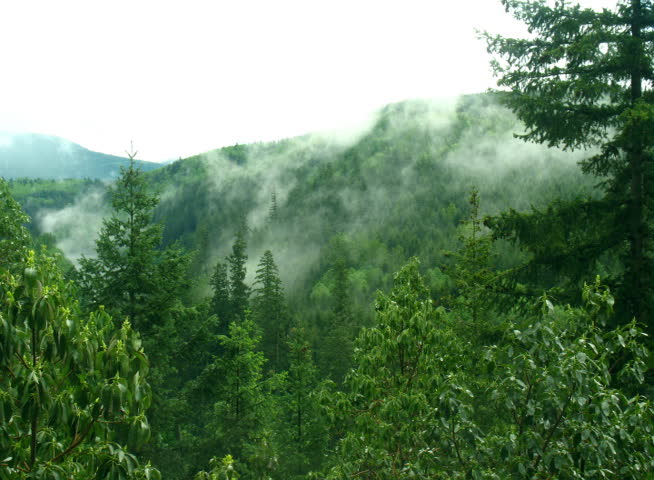 NTSC time lapse of fog in a valley, looks somewhat like smoke in the forest as well.  2 static shots, 2 with slow zoom/pan
