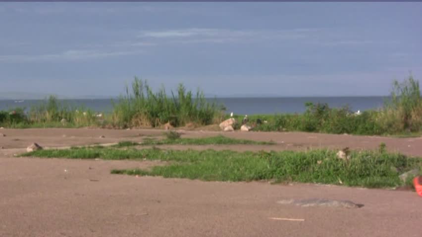 African woman walking  
