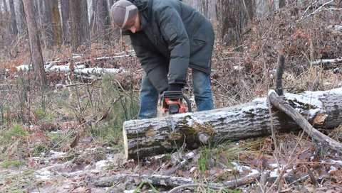 Man sawing wood chainsaw