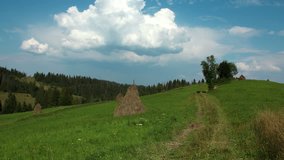 4K Timelapse of clouds and beautiful green meadow (ultra-high definition (UHD, 4096x2304)). Video without birds