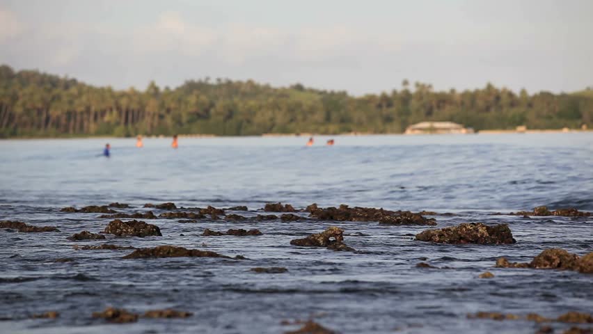 View of coral reef with surfers waiting for waves in the background at Nias Island, Sumatra, Indonesia