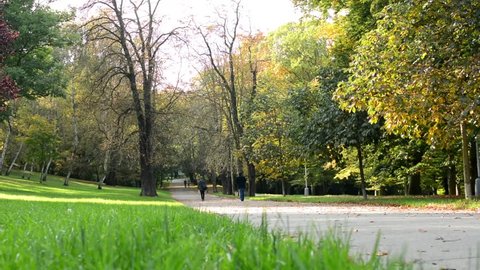 Autumn park (forest - trees) - fallen leaves - grass - people in background