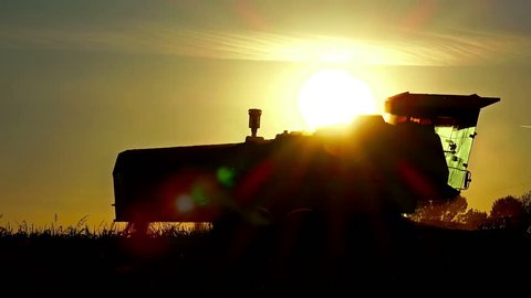 4k Harvesting at sunset - Stock Video. Combine collecting the crops. Sony FDR AX-100 shoot