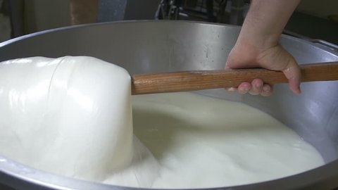 mozzarella production: italian cheese factory, mozzarella, fresh cheese