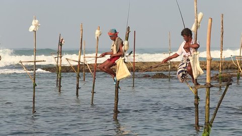 KOGGALA, SRI LANKA - NOVEMBER 9, 2014: Unidentified local fishermen are fishing in unique style. This type of fishing is traditional for South Sri Lanka in Indian ocean.