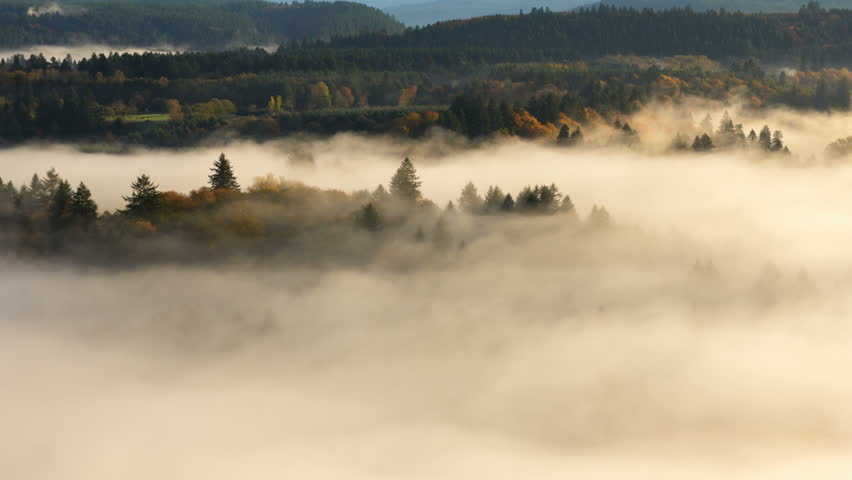 Time Lapse Movie of Blanket of Thick Rolling Fog Over Mount Hood National Forest and Sandy River in Colorful Autumn Season from Jonsrud Viewpoint in Beautiful Oregon 1920x1080