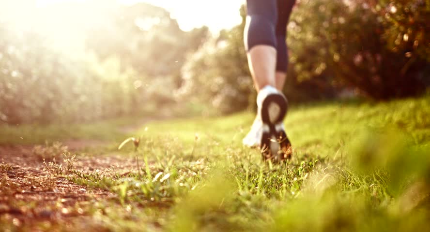 Utilfreds krise Kro Runner Feet Running Jogging Grass Stock Footage Video (100% Royalty-free)  7893463 | Shutterstock