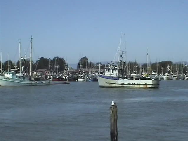 A fishing boat pulls into the harbor at Eureka, California, USA